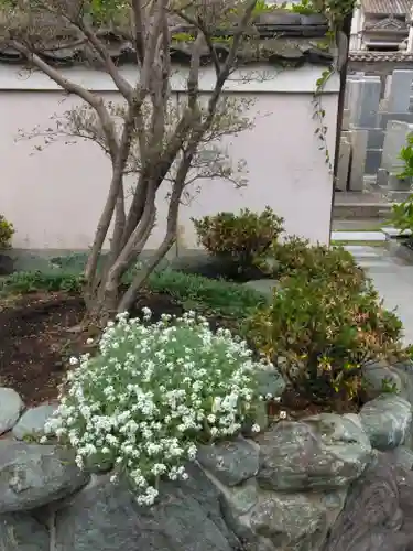 浄國寺（浄国寺）の自然