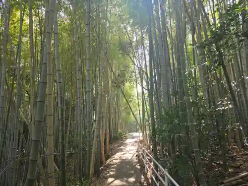 静火神社(和歌山県)