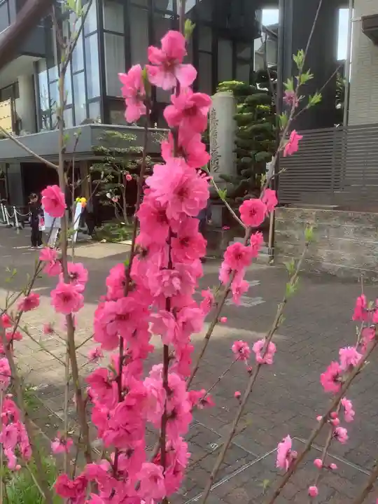 日蓮宗四高祖本覚寺の自然