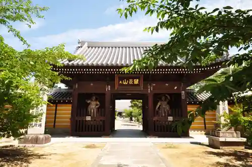 金倉寺の山門