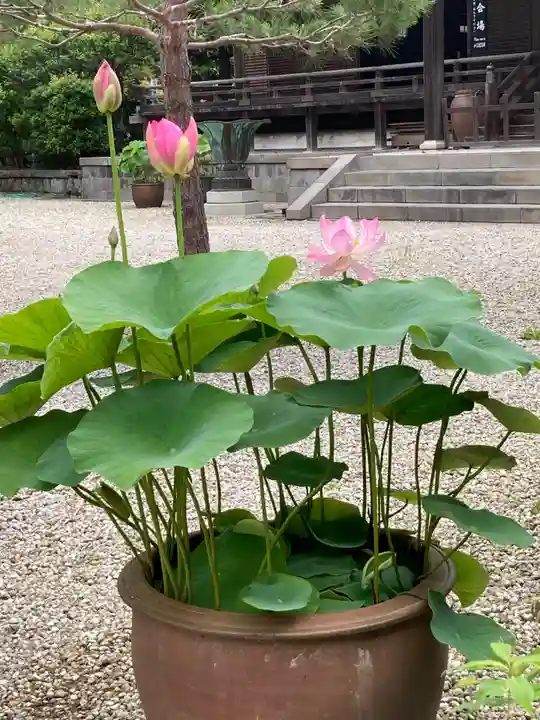 建長寺(神奈川県)