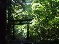 名草厳島神社の自然