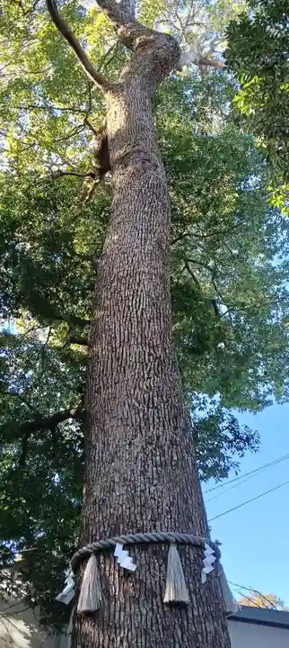 金ヶ作熊野神社(千葉県)