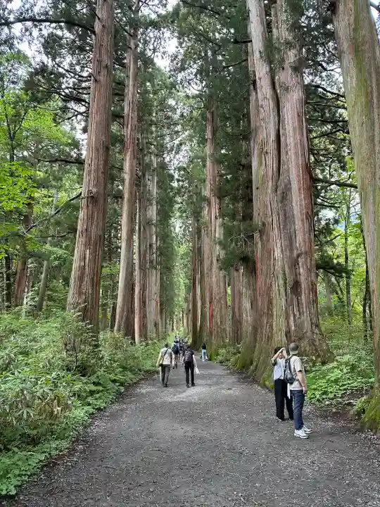戸隠神社奥社(長野県)