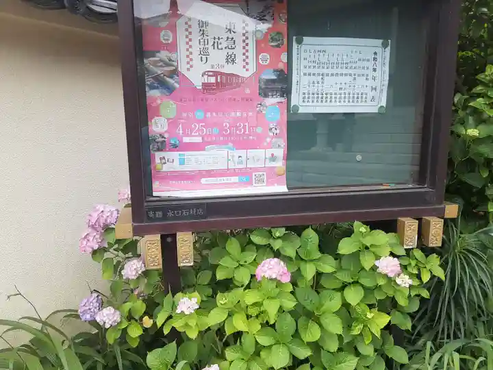 遍照院(東京都)