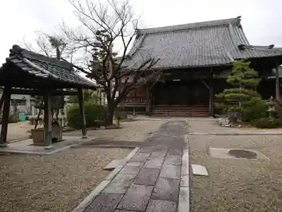 浄信寺の本殿・本堂
