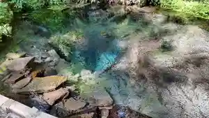 信行寺(福岡県)(2021年06月03日(木) 08時34分35秒投稿)