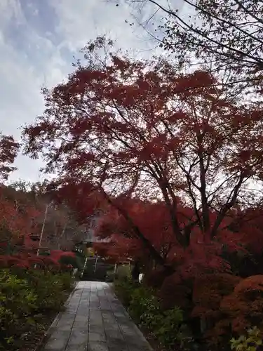陽林寺(福島県)