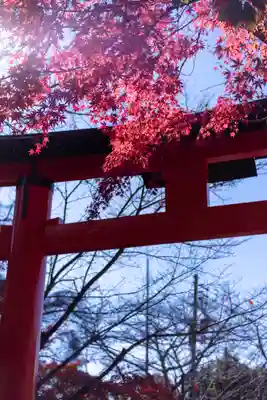 宇治上神社の鳥居