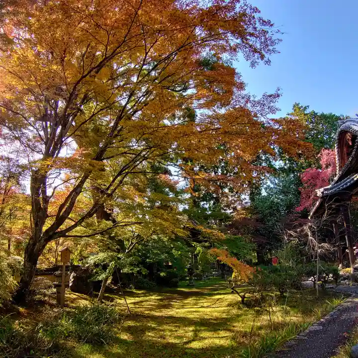 十輪寺(京都府)