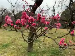 多治速比売神社の自然