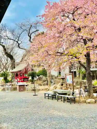 楽法寺（雨引観音）(茨城県)