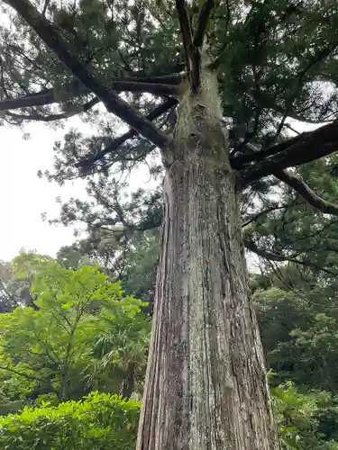 天恩寺(愛知県)