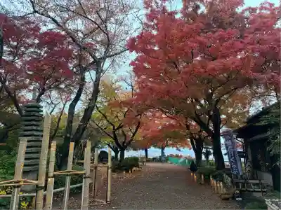 石清水八幡宮(京都府)