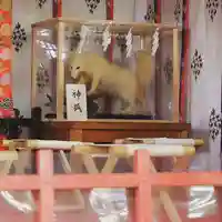 開運招福 飯玉神社の狛犬