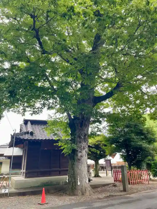 幸宮神社(埼玉県)