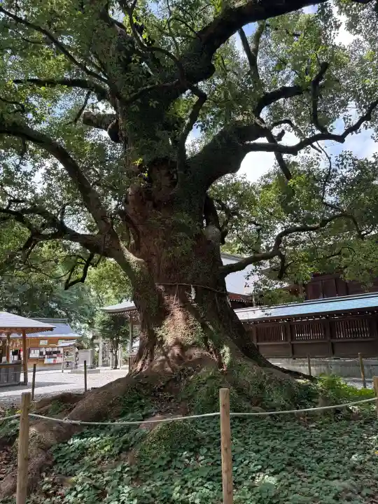 千栗八幡宮(佐賀県)