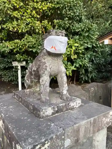 鶴岡八幡宮の狛犬