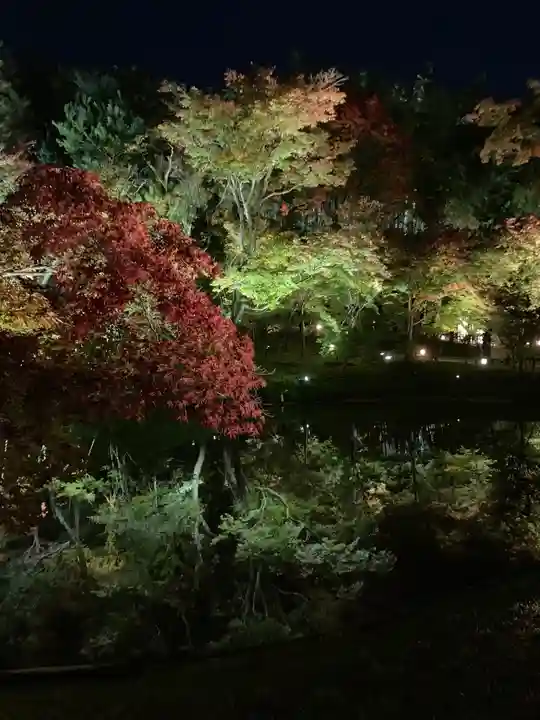 高台寺(高台寿聖禅寺・高臺寺)(京都府)