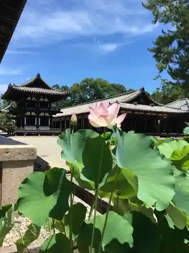 唐招提寺の自然