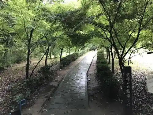 武雄神社の建物その他