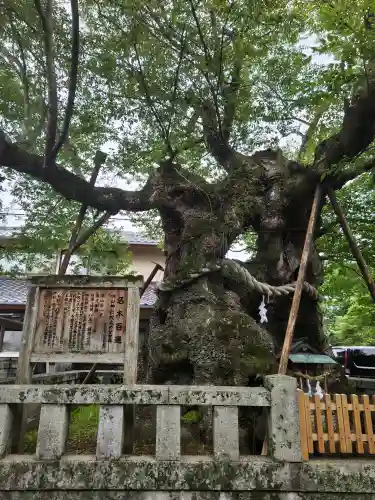 中山神社(岡山県)