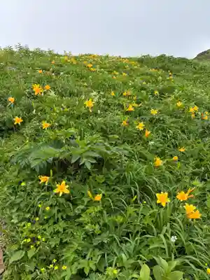 白山比咩神社　奥宮(石川県)