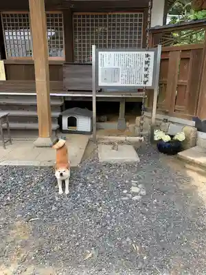 石上寺(三重県)