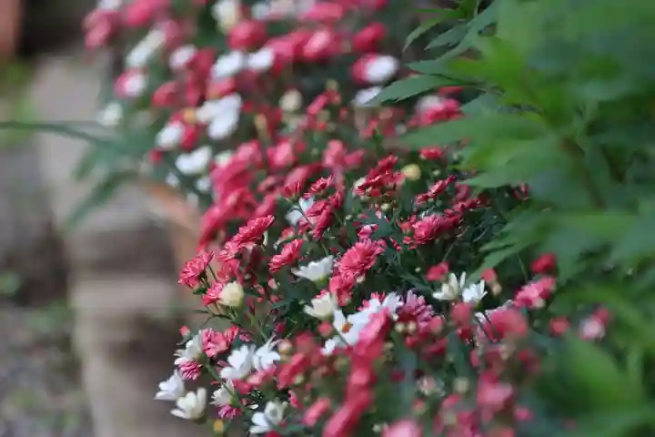 豊景神社の庭園
