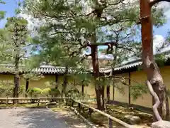 大覚寺の建物その他