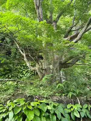 明月院(神奈川県)