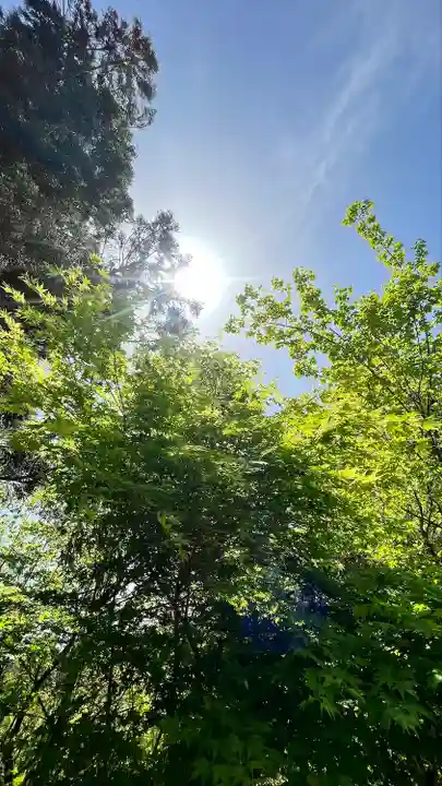 国宝 大法寺(長野県)