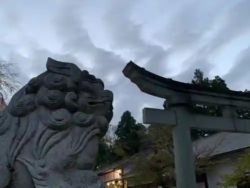 足羽神社の狛犬