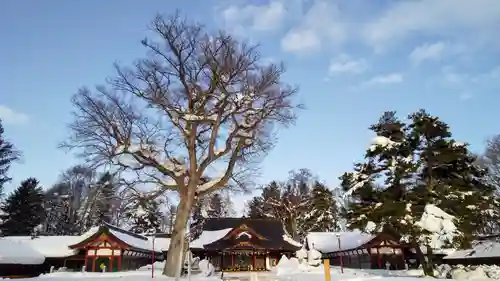 北海道護國神社の景色