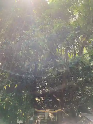 狭井坐大神荒魂神社(狭井神社)(奈良県)