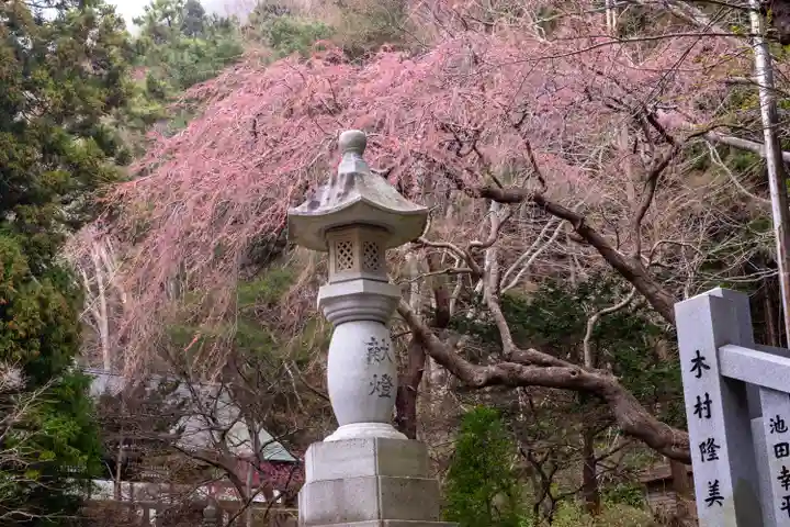 函館八幡宮(北海道)