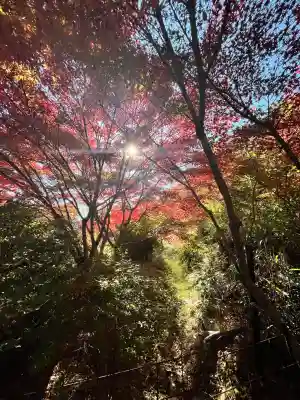 常樂寺(滋賀県)