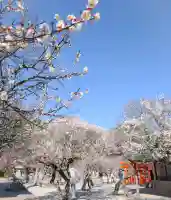 綱敷天満宮の{uncategorized: "未分類", other: "その他", undefined: "問題あり", building: "その他建物", grave: "お墓", sacred_gate: "鳥居", guardian: "狛犬", statue: "像", buddha: "仏像", history: "歴史", nature: "自然", garden: "庭園", animal: "動物", pagoda: "塔", temizu: "手水舎", mountain_gate: "山門・神門", sanctuary: "本殿・本堂", subordinate: "末社・摂社", art: "芸術", scenery: "景色", jizo: "地蔵", ema: "絵馬", goshuin: "御朱印", omikuji: "おみくじ", items: "授与品その他", amulet: "お守り", goshuincho: "御朱印帳", eats: "食事", festival: "お祭り", votive_dance: "神楽", shichigosan: "七五三参", wedding: "結婚式", experience: "体験その他", initially: "初詣", around: "周辺", anti_infection: "感染症対策"}