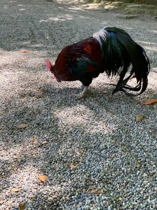 石上神宮(奈良県)