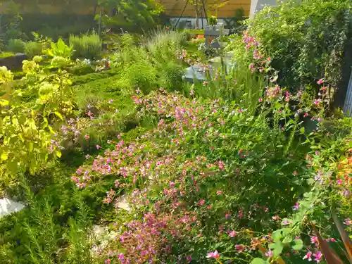 寿量山　速成寺(奈良県)