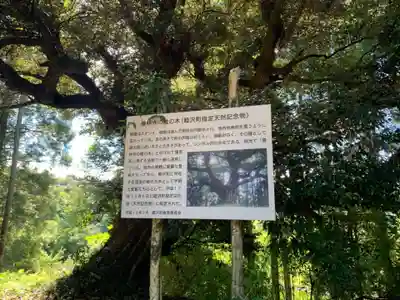 儀林寺のその他建物