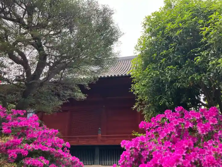 清水観音堂の{uncategorized: "未分類", other: "その他", undefined: "問題あり", building: "その他建物", grave: "お墓", sacred_gate: "鳥居", guardian: "狛犬", statue: "像", buddha: "仏像", history: "歴史", nature: "自然", garden: "庭園", animal: "動物", pagoda: "塔", temizu: "手水舎", mountain_gate: "山門・神門", sanctuary: "本殿・本堂", subordinate: "末社・摂社", art: "芸術", scenery: "景色", jizo: "地蔵", ema: "絵馬", goshuin: "御朱印", omikuji: "おみくじ", items: "授与品その他", amulet: "お守り", goshuincho: "御朱印帳", eats: "食事", festival: "お祭り", votive_dance: "神楽", shichigosan: "七五三参", wedding: "結婚式", experience: "体験その他", initially: "初詣", around: "周辺", anti_infection: "感染症対策"}