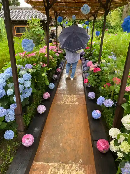 般若寺 ❁コスモス寺❁(奈良県)