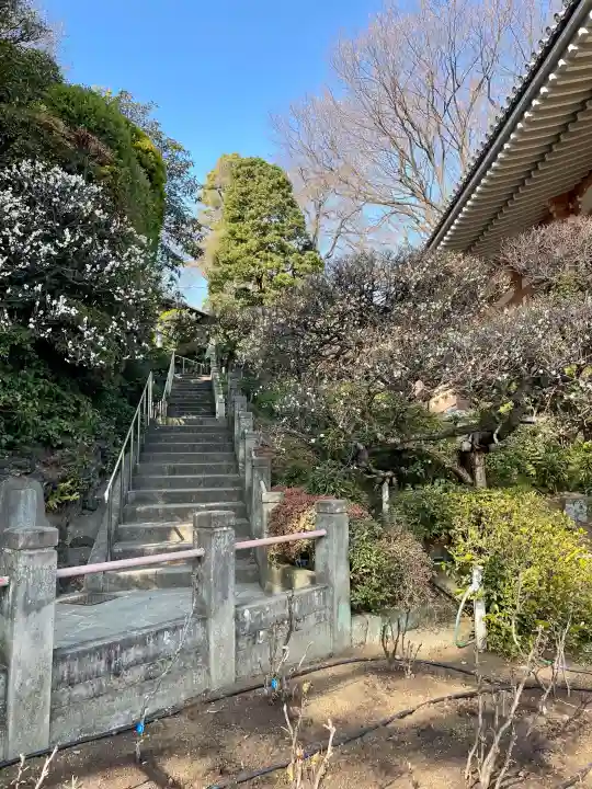 東長谷寺 薬王院の{uncategorized: "未分類", other: "その他", undefined: "問題あり", building: "その他建物", grave: "お墓", sacred_gate: "鳥居", guardian: "狛犬", statue: "像", buddha: "仏像", history: "歴史", nature: "自然", garden: "庭園", animal: "動物", pagoda: "塔", temizu: "手水舎", mountain_gate: "山門・神門", sanctuary: "本殿・本堂", subordinate: "末社・摂社", art: "芸術", scenery: "景色", jizo: "地蔵", ema: "絵馬", goshuin: "御朱印", omikuji: "おみくじ", items: "授与品その他", amulet: "お守り", goshuincho: "御朱印帳", eats: "食事", festival: "お祭り", votive_dance: "神楽", shichigosan: "七五三参", wedding: "結婚式", experience: "体験その他", initially: "初詣", around: "周辺", anti_infection: "感染症対策"}