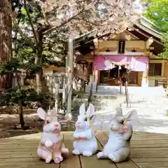 彌彦神社　(伊夜日子神社)(北海道)