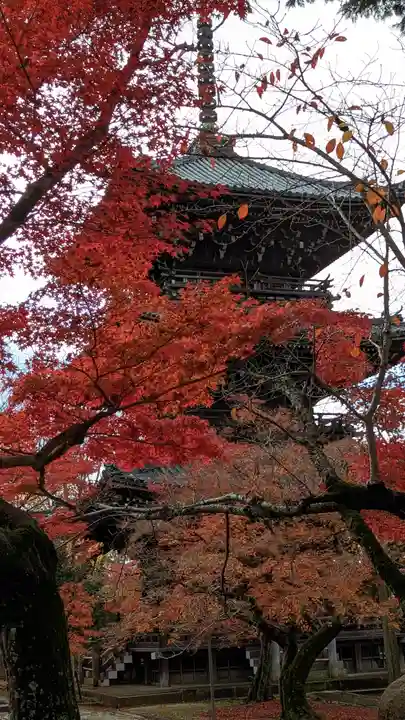 真正極楽寺(真如堂)(京都府)