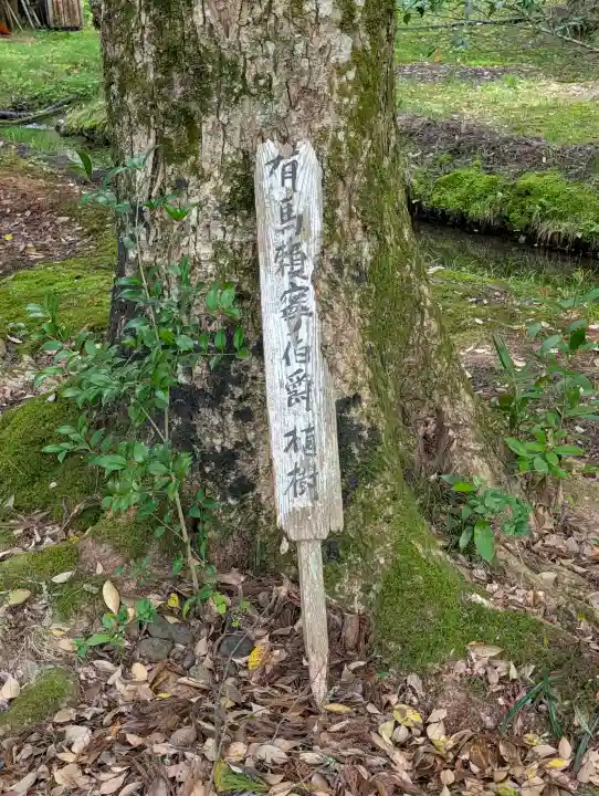 度津神社の{uncategorized: "未分類", other: "その他", undefined: "問題あり", building: "その他建物", grave: "お墓", sacred_gate: "鳥居", guardian: "狛犬", statue: "像", buddha: "仏像", history: "歴史", nature: "自然", garden: "庭園", animal: "動物", pagoda: "塔", temizu: "手水舎", mountain_gate: "山門・神門", sanctuary: "本殿・本堂", subordinate: "末社・摂社", art: "芸術", scenery: "景色", jizo: "地蔵", ema: "絵馬", goshuin: "御朱印", omikuji: "おみくじ", items: "授与品その他", amulet: "お守り", goshuincho: "御朱印帳", eats: "食事", festival: "お祭り", votive_dance: "神楽", shichigosan: "七五三参", wedding: "結婚式", experience: "体験その他", initially: "初詣", around: "周辺", anti_infection: "感染症対策"}