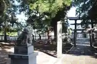 大井俣神社の狛犬