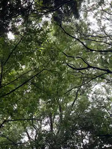 前原御嶽神社(千葉県)