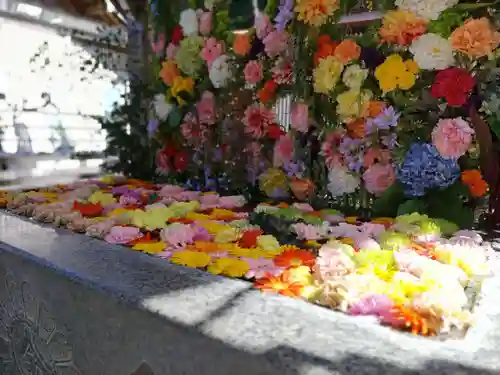 金蛇水神社(宮城県)